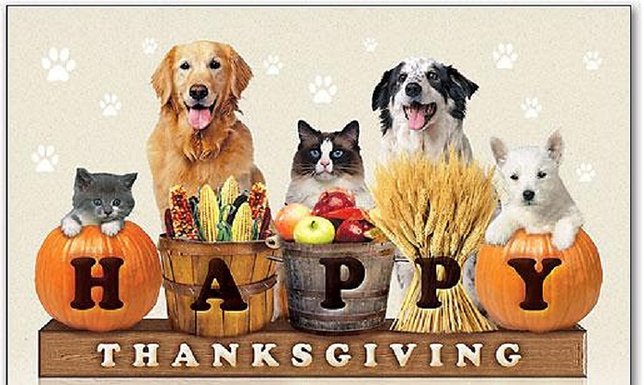 Thanskgiving