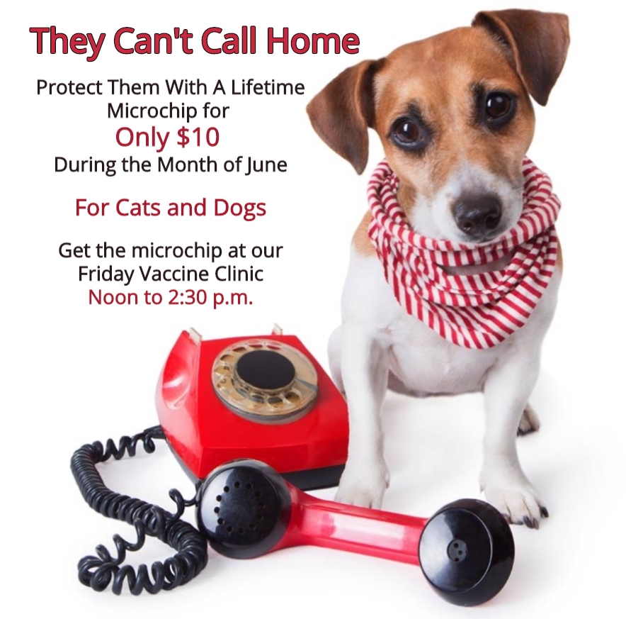 microchip special microchip special
